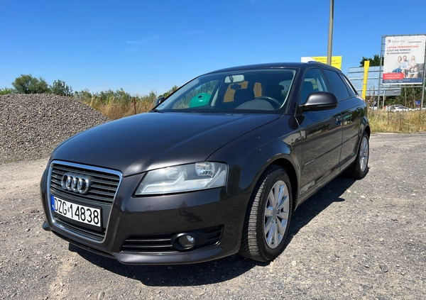 Audi A3 cena 21999 przebieg: 316050, rok produkcji 2008 z Wrocław małe 121